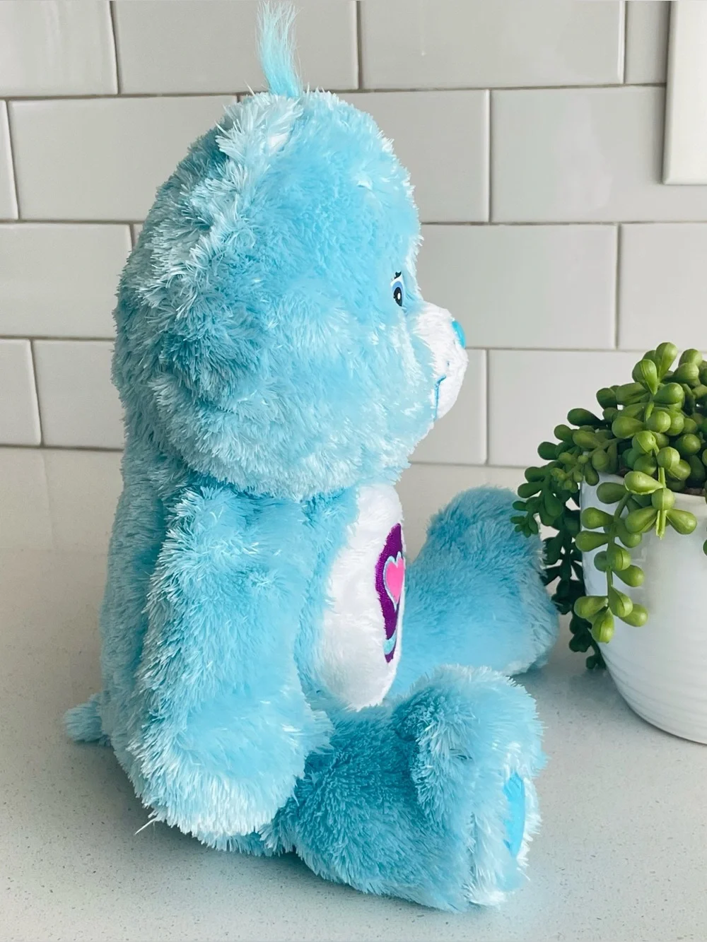2005 Care Bears Fluffy & Floppy Play A Lot Bear